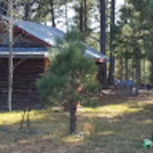 Meet your Posher, Max